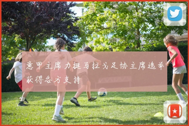 意甲主席力挺马拉戈足协主席选举获得各方支持
