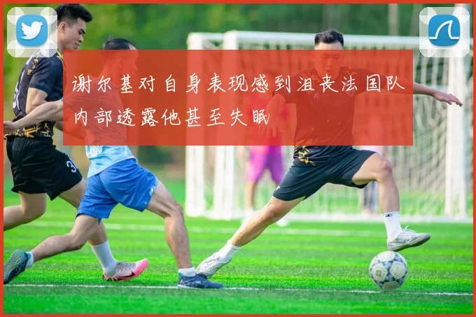 谢尔基对自身表现感到沮丧法国队内部透露他甚至失眠